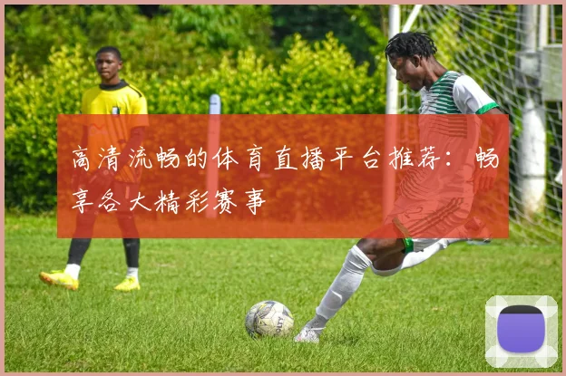 高清流畅的体育直播平台推荐：畅享各大精彩赛事